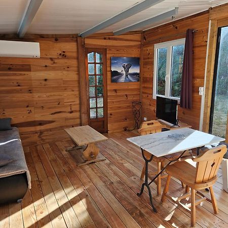 Chalet Banane Devant Piscine, A 6Km Du Festival De Piano De La Roque D'Antheron Rognes Luaran gambar